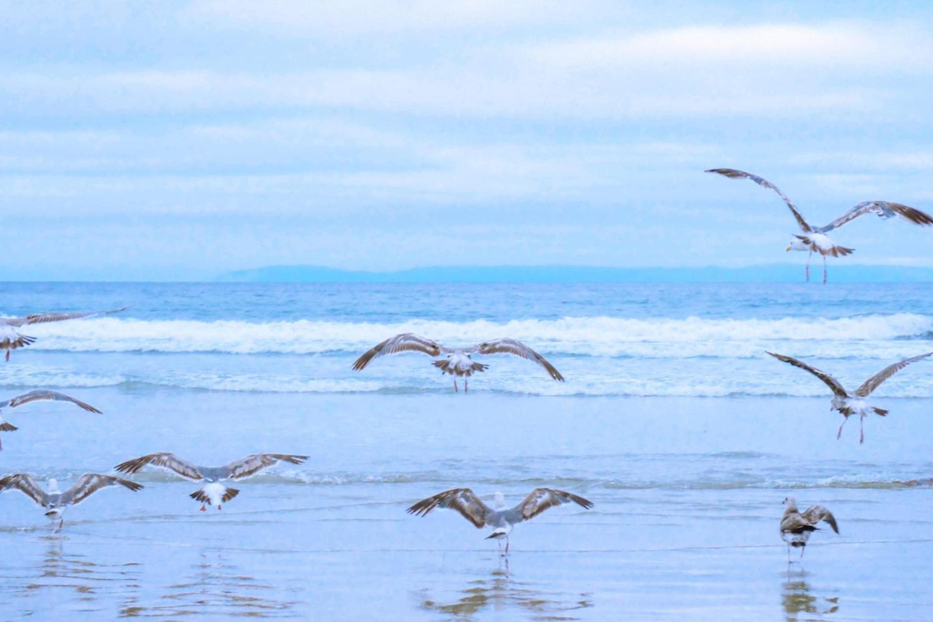 Vakantiehuis Beau - Julianadorp Aan Zee ภายนอก รูปภาพ