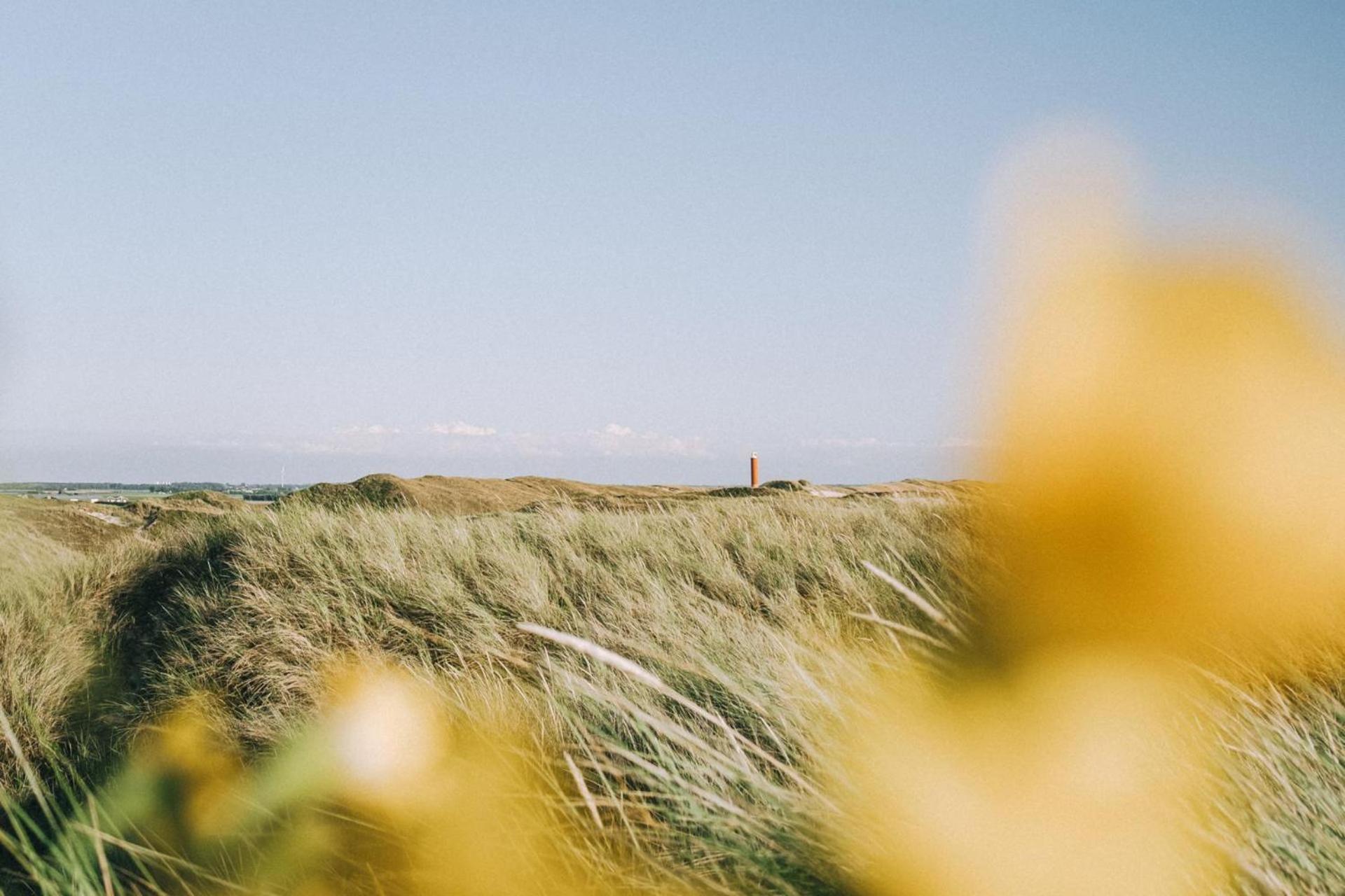 Vakantiehuis Beau - Julianadorp Aan Zee ภายนอก รูปภาพ